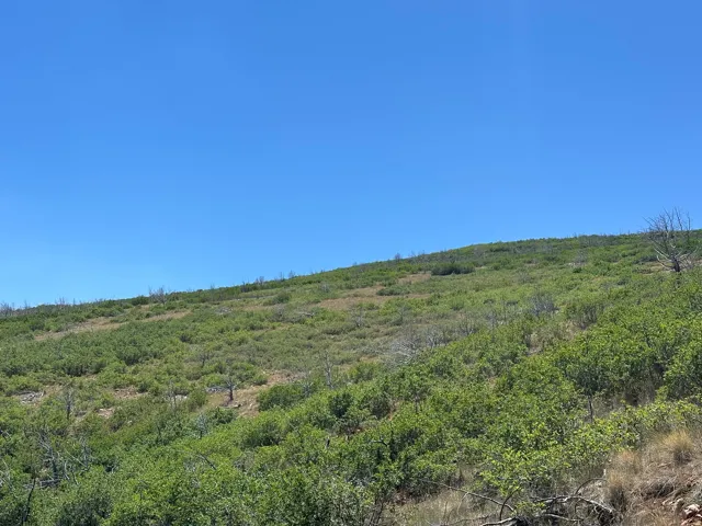 26 Indian Ridge Dr, Indianola, Utah 84629