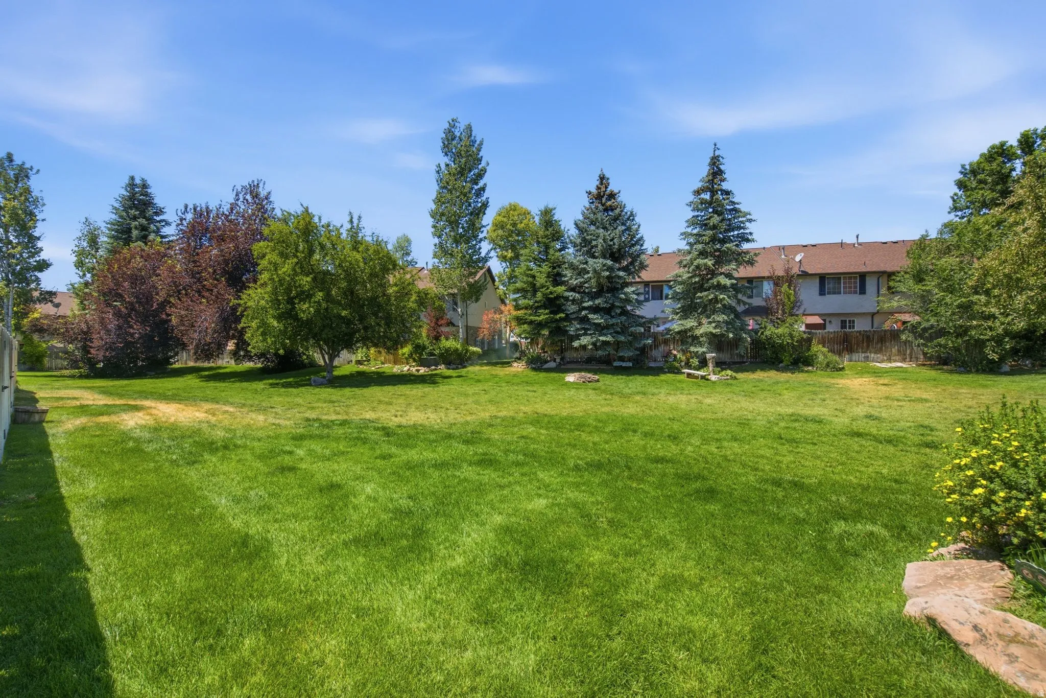 Expansive green lawn with mature evergreen and deciduous trees
