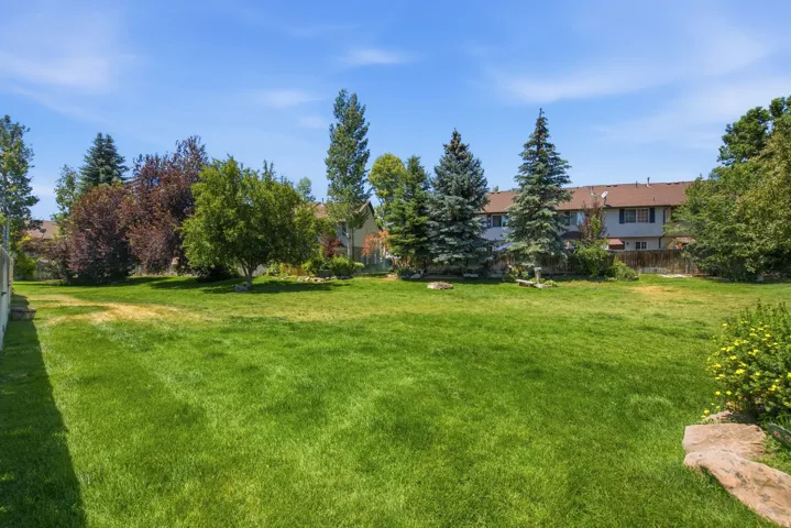 Expansive green lawn with mature evergreen and deciduous trees