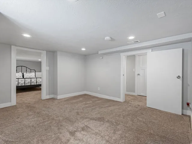 Lower level Flex room