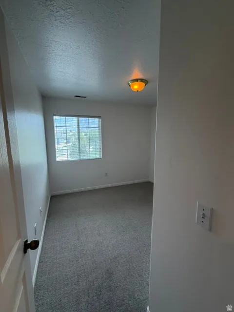 Bedroom 3 features Brand New Plush Gray carpeting & Views Galore!