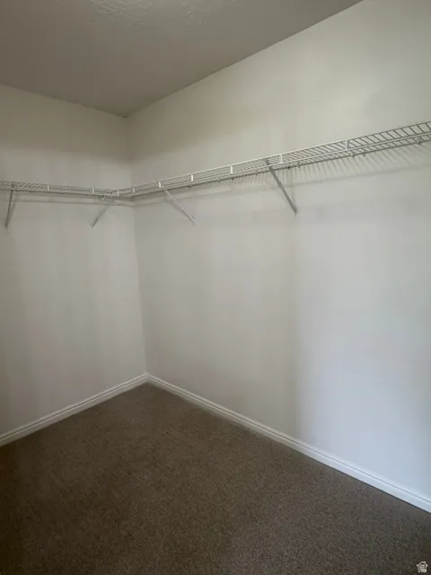 HUGE Master Bedroom Closet with brand new carpet.