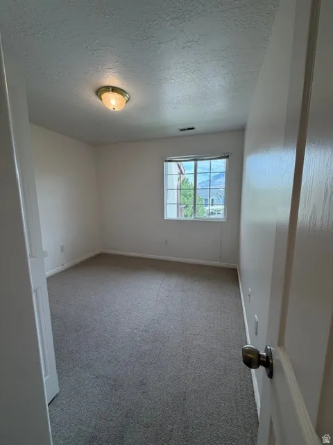Bedroom 2 features Brand New Plush gray carpeting