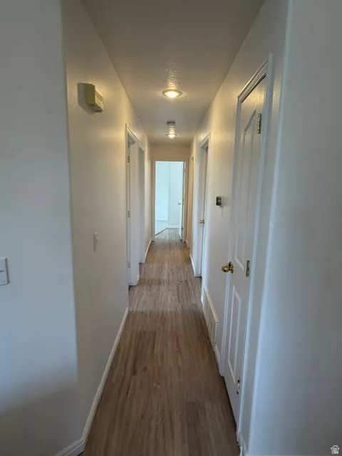 Recessed lighting illuminating the hallway with brand new LVP floors