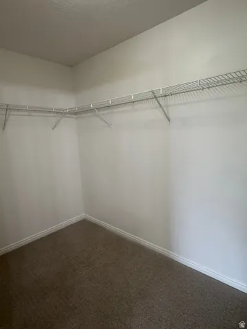 HUGE Master Bedroom Closet with brand new carpet.