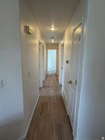Recessed lighting illuminating the hallway with brand new LVP floors