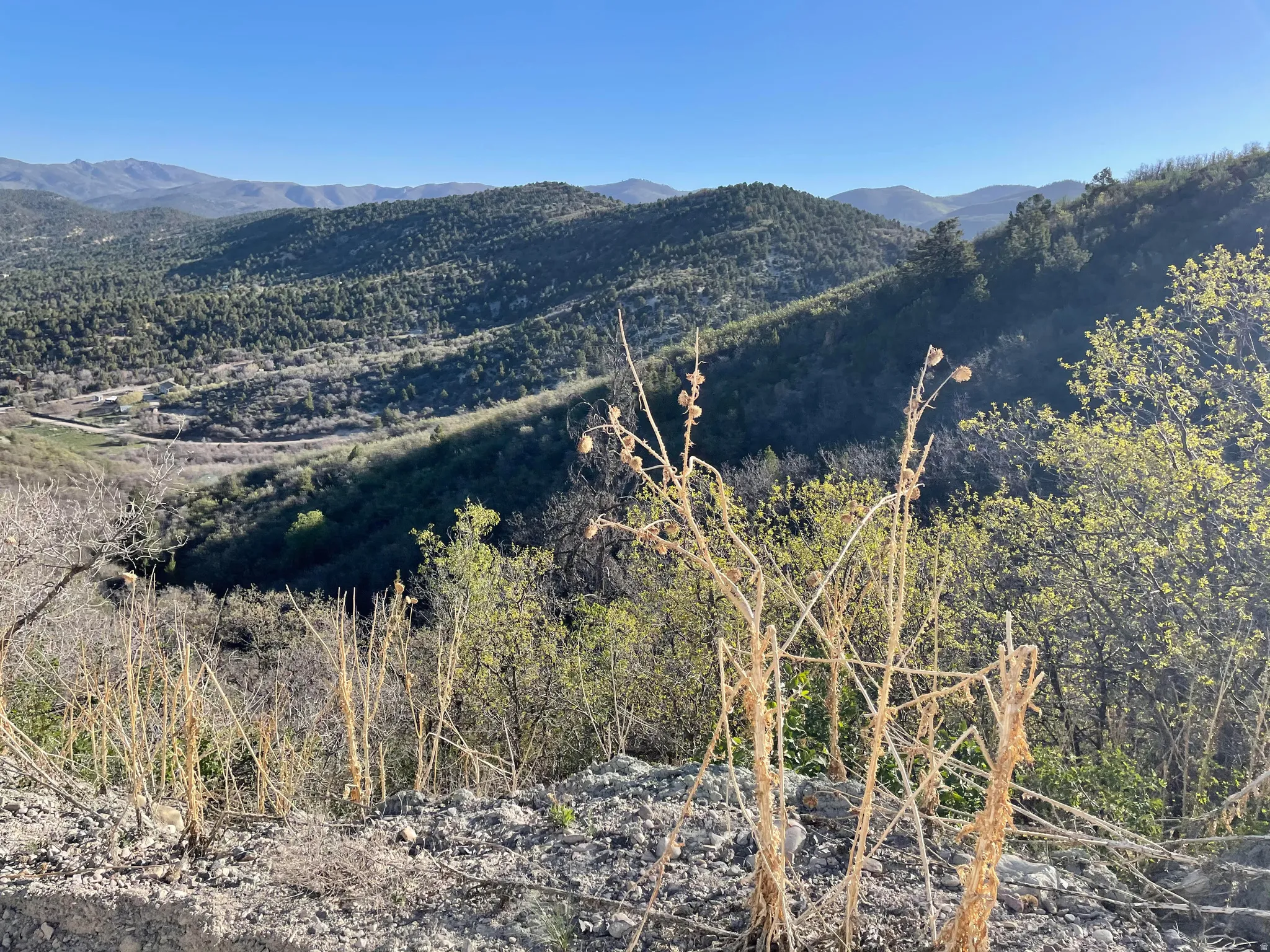 Panoramic Views