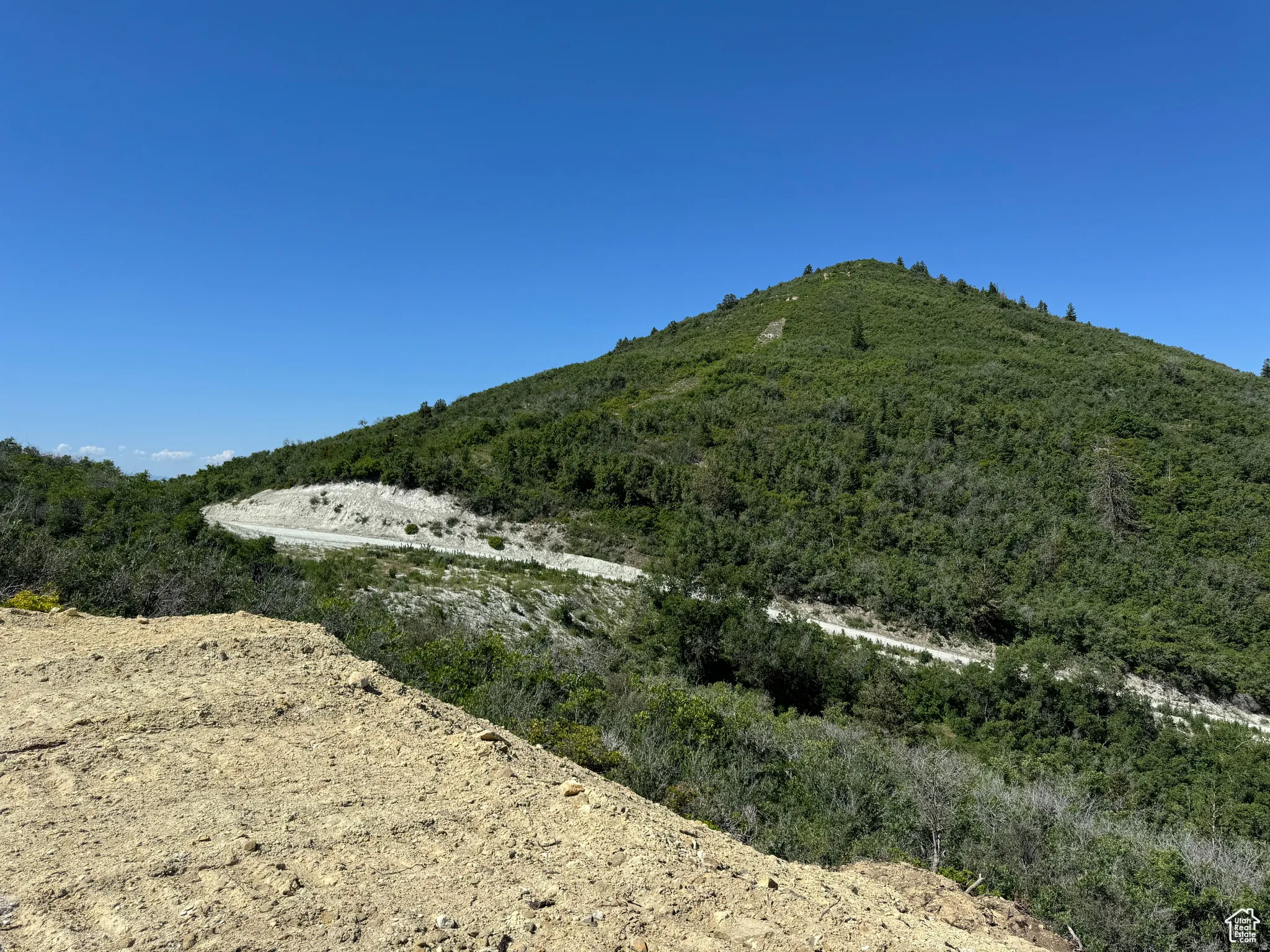 Panoramic Views