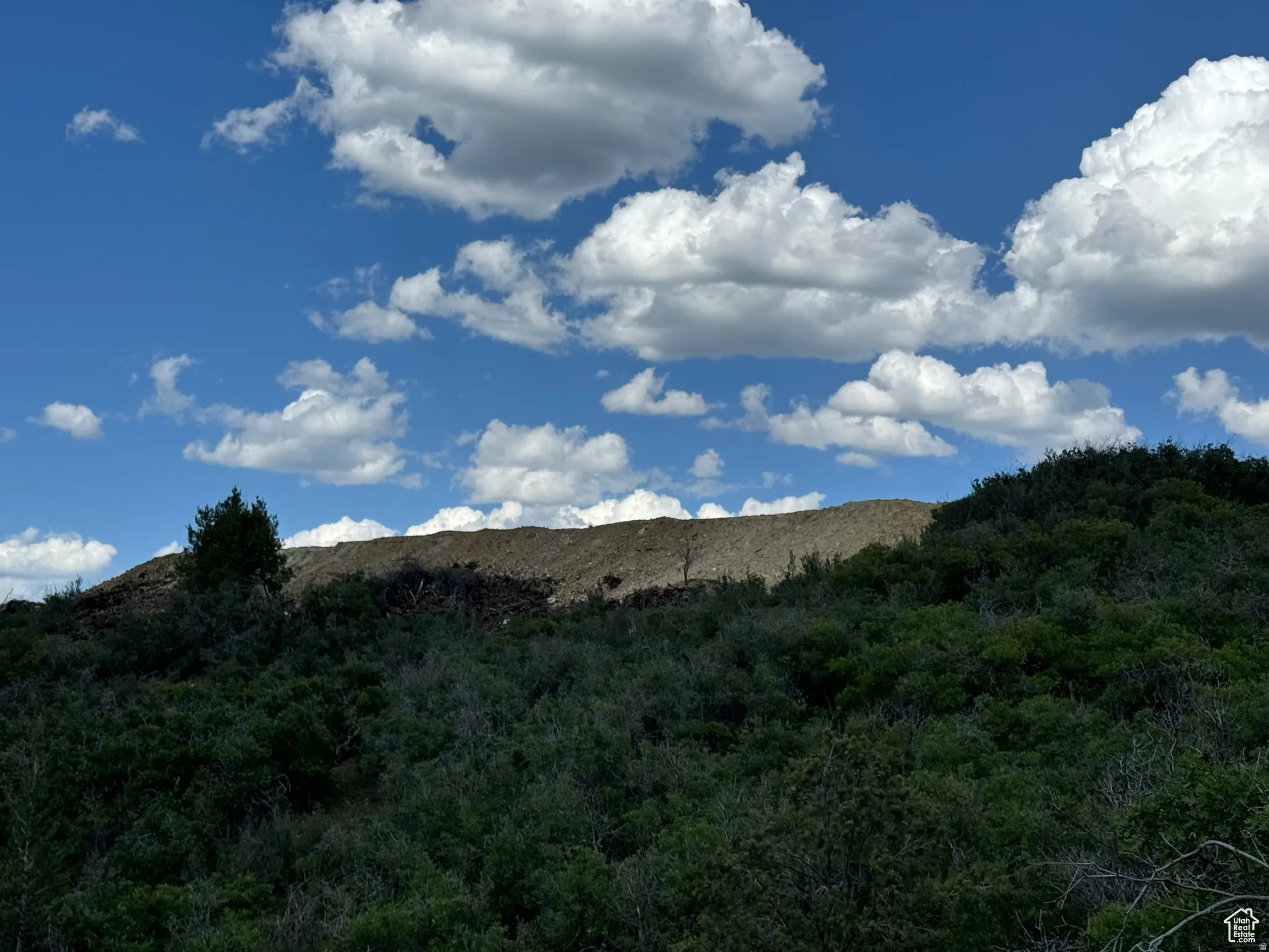 Panoramic Views
