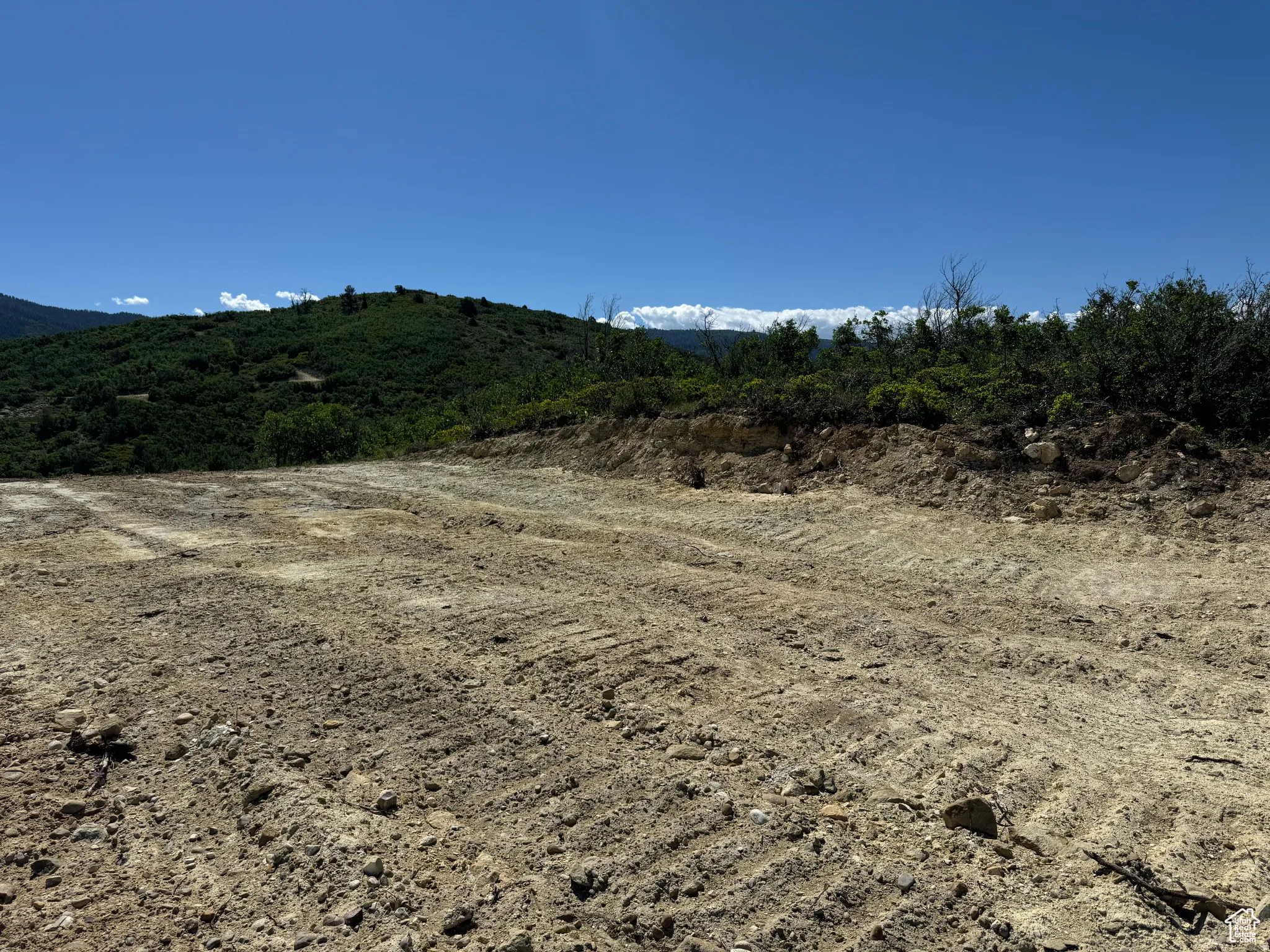 Panoramic Views