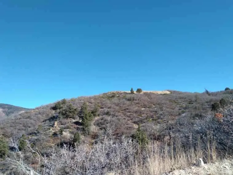 Panoramic Views