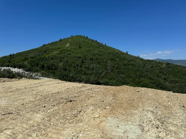 Panoramic Views