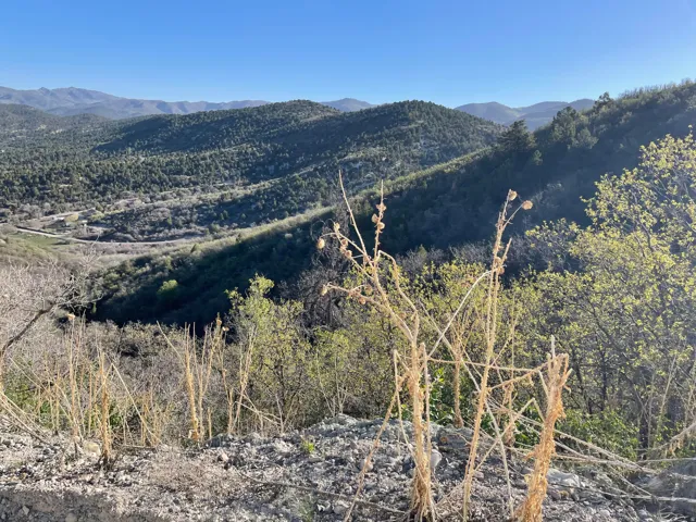 Panoramic Views