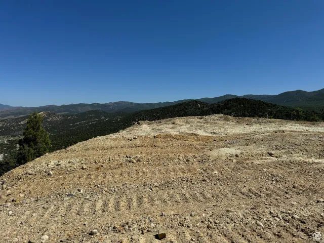 Panoramic Views