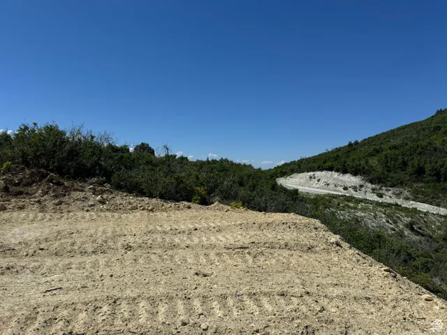 Panoramic Views