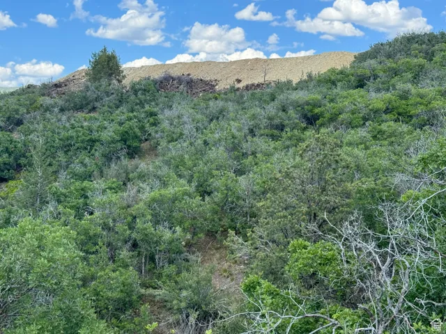 Panoramic Views
