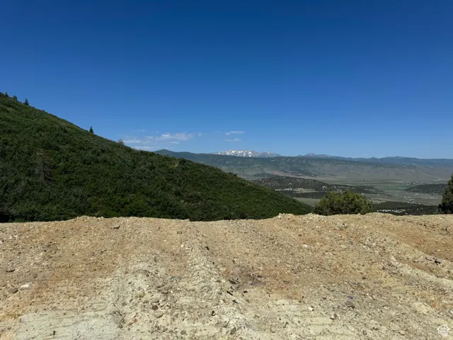 Panoramic Views