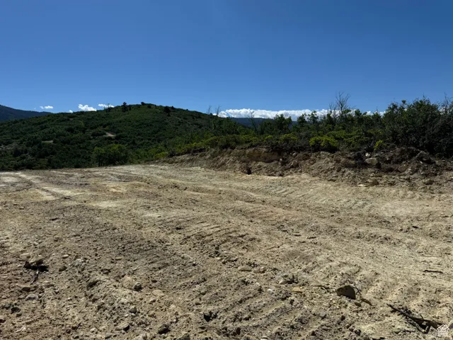 Panoramic Views