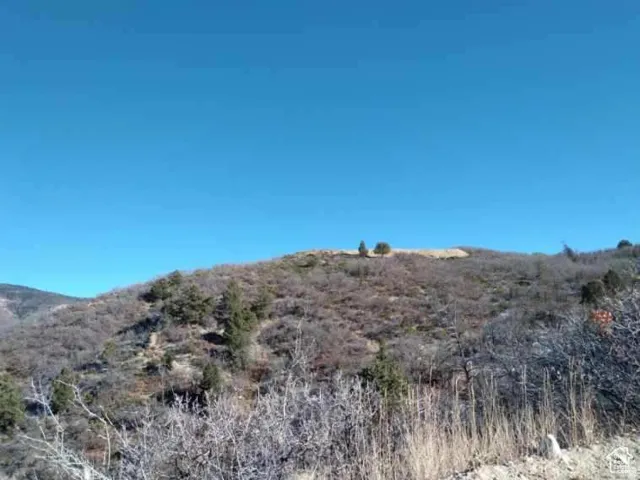 Panoramic Views