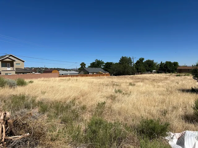 Expansive open lot featuring natural vegetation