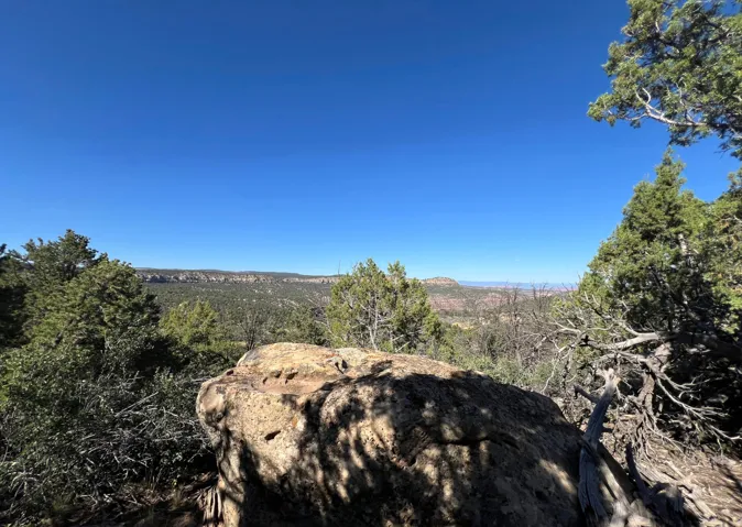 Expansive elevated landscape featuring a clear blue sky, distant mesa formations, and abundant natural foliage including evergreen trees and native shrubs