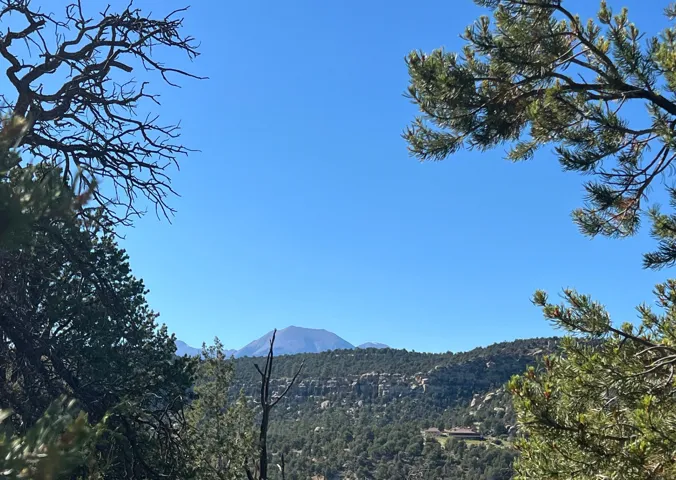 Distant mountain peak and rolling hills covered in evergreen trees under a clear sky
