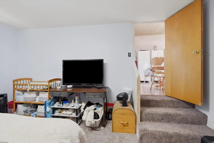 Carpeted stairs leading to a wood-finish door and a separate area with wood-finish flooring