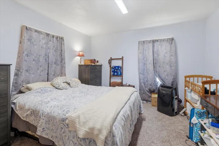 Carpeted room with light-colored walls and two windows featuring patterned drapes