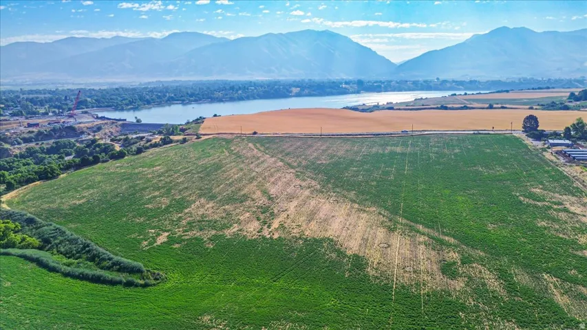 Expansive agricultural land featuring a mix of green and golden fields