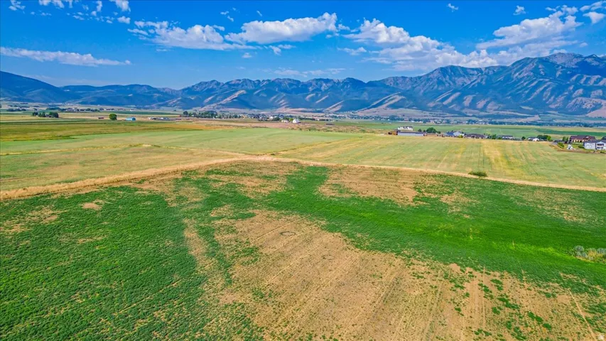 Expansive rural land featuring a mix of green and golden fields under a clear blue sky