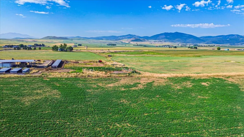 Expansive green fields with distant mountains