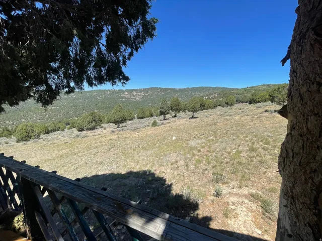 Expansive natural landscape with rolling hills and abundant shrubbery under a clear sky