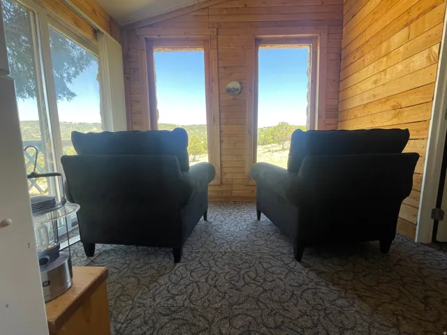 Room featuring wood-plank walls and a patterned carpet