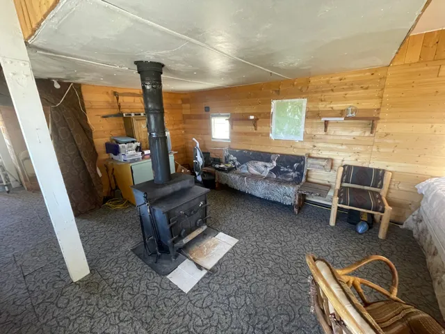 Cast iron wood-burning stove with a metal flue