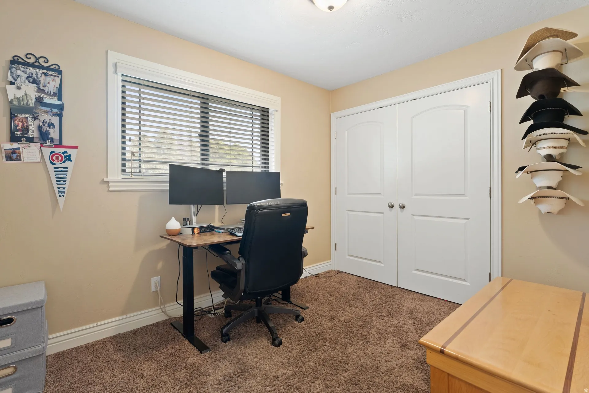 Bedroom with neutral wall color and brown carpeting