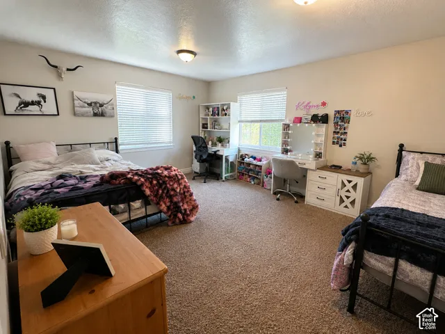 Carpeted bedroom featuring two large windows with blinds, providing natural light
