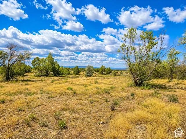 Expansive open landscape featuring scattered green trees and shrubs