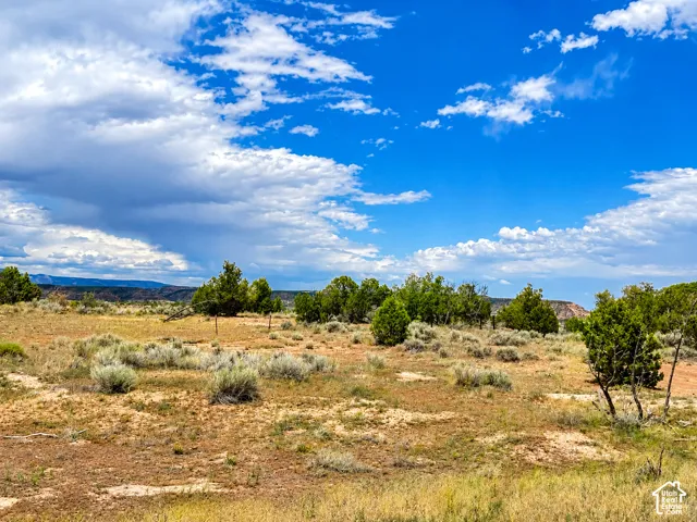 Expansive land featuring natural grasses, scattered sagebrush, and mature evergreen trees