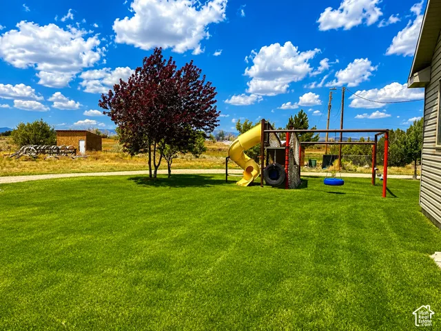 Expansive green lawn with a mature red-leaf tree and a multi-component play structure featuring a yellow slide and swings
