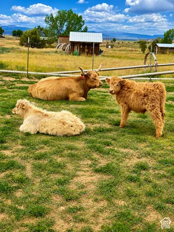 Grassy pasture featuring a wood fence, distant outbuildings, and a mountain range backdrop
