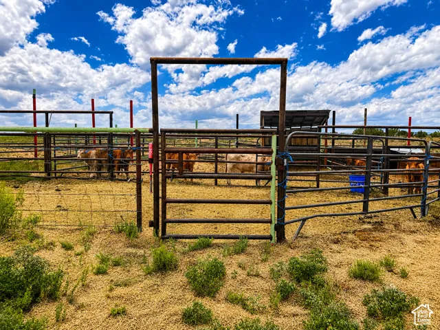 Extensive livestock corrals featuring metal fencing, a covered feeding area, and multiple gated sections