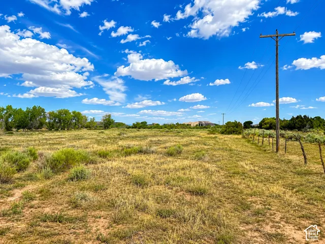 Expansive unimproved land featuring natural ground cover, mature trees along the perimeter, and utility pole infrastructure with overhead lines
