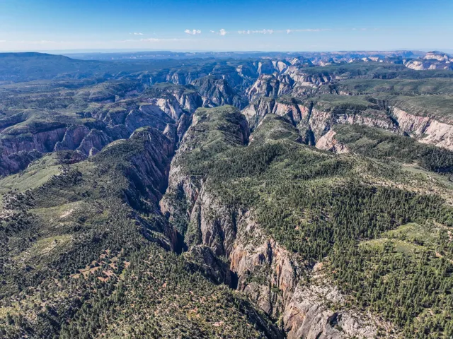 Expansive canyon landscape featuring rugged rock formations, extensive evergreen tree coverage, and a clear blue sky