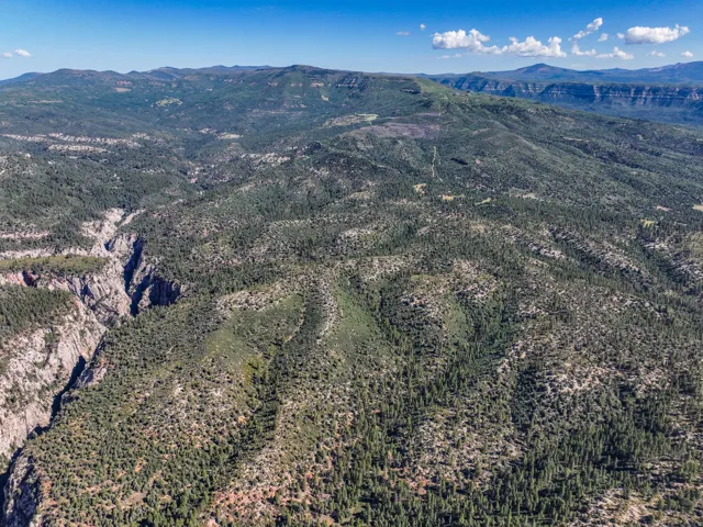Expansive mountainous terrain featuring dense evergreen forestation and a prominent canyon formation