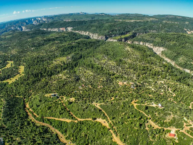 Expansive forested landscape featuring a prominent canyon and distant mountainous terrain