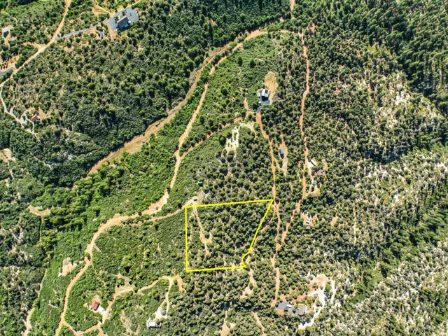 Expansive wooded land parcel, outlined in yellow, featuring varied topography and abundant natural foliage