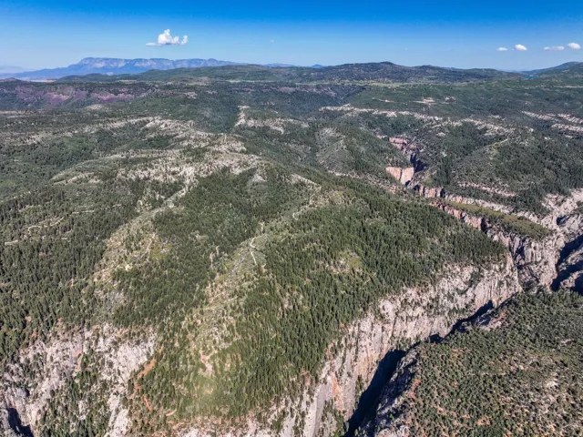 Expansive elevated land featuring dense evergreen tree coverage, a prominent canyon system, distant mountainous terrain, and a clear blue sky