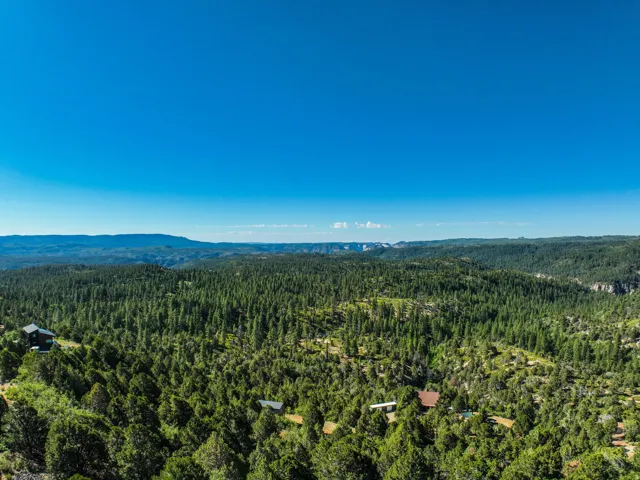 Expansive forested landscape featuring a distant mountain range and a clear blue sky