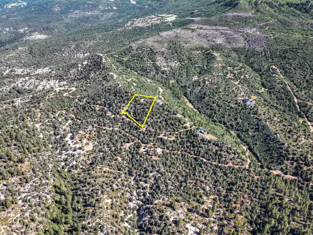 Expansive land parcel featuring dense evergreen tree coverage and varied topography