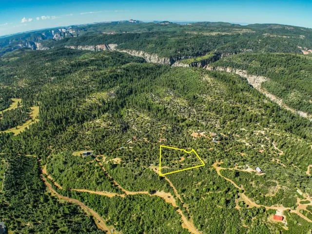 Expansive, tree-covered parcel with a distinct boundary outline